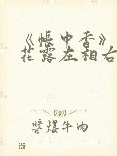 《帐中香》金银花露左相右相