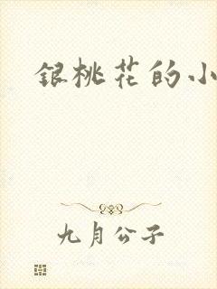 银桃花的小说