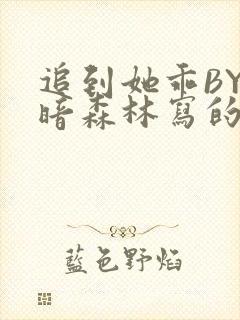 追到她乖BY黑暗森林写的小说