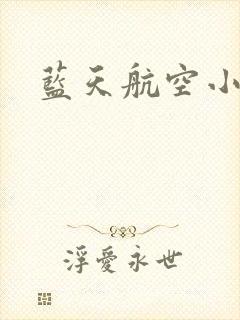蓝天航空小说
