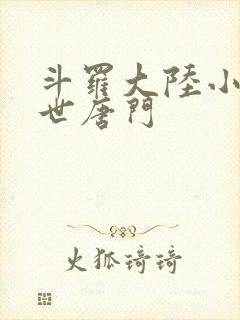 斗罗大陆小说绝世唐门