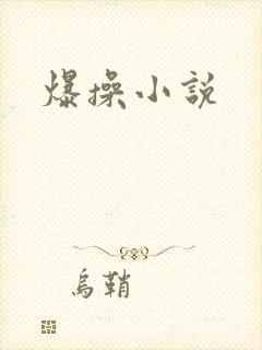 爆操小说