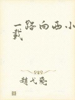 一路向西小说下载