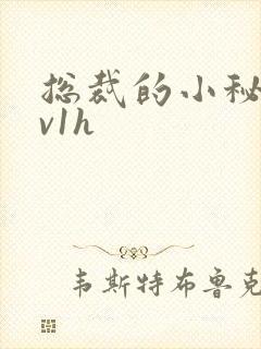 总裁的小秘书1v1h