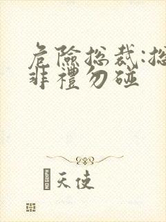 危险总裁:总裁非礼勿碰