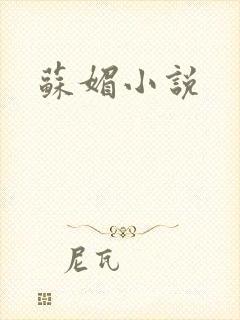 苏媚小说