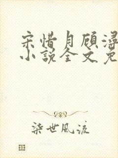 宋惜月顾浔渊的小说全文免费阅读