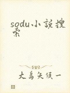 sodu小说搜索