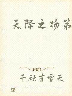 天降之物第一季