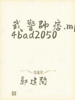 武警帅痞.mp4bad2050