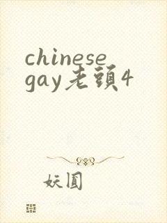 chinesegay老头4