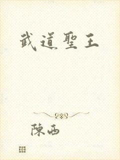 武道圣王