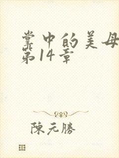 掌中的美母版主第14章