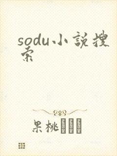 sodu小说搜索