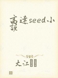 高达seed小说