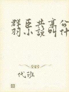 群臣共享公主银羽小说叫什么