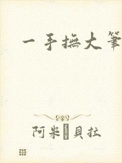 一手抚大笔趣阁