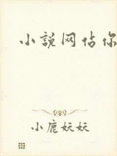 小说网站你懂的