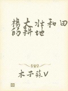 杨大壮和田桂花的耕地