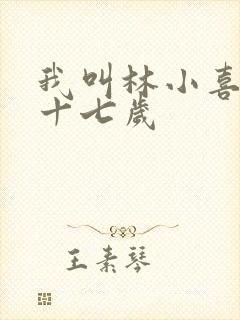 我叫林小喜今年十七岁