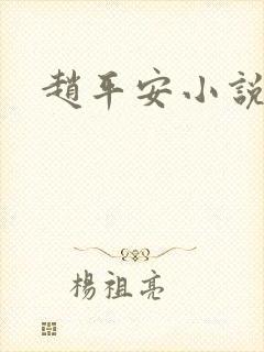 赵平安小说主角