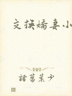 交换娇妻小说