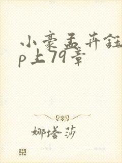 小豪孟卉钰慧三p上79章
