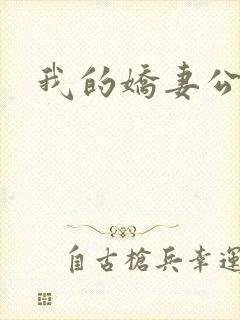 我的娇妻公务员