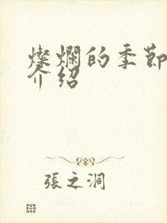 灿烂的季节剧情介绍