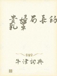 贵妇局长的蕾丝乳罩