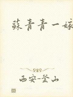 苏青青一嫁三夫