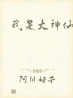 我是大神仙小说