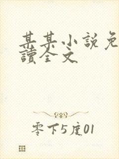 某某小说免费阅读全文