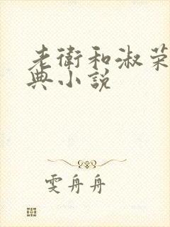 老卫和淑荣的经典小说