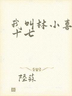 我叫林小喜今年十七