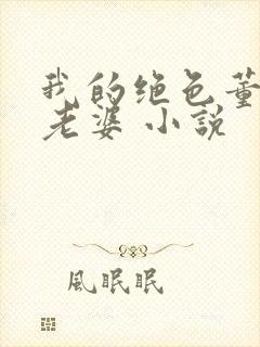 我的绝色董事长老婆 小说