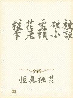 校花处破被灌满李老头小说