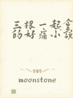 三根一起会坏掉的好痛小说