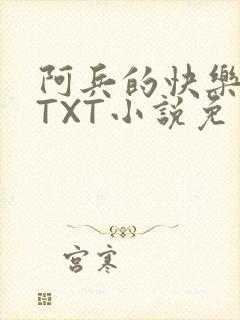 阿兵的快乐生活TXT小说免费阅读全章