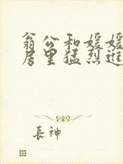 翁公和媛媛在厨房里猛烈进出