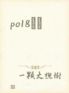 po18С˵