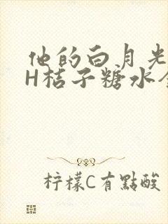 他的白月光HVH桔子糖水全文