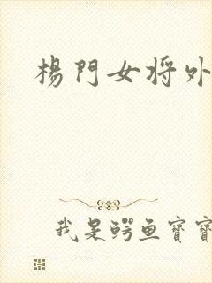 杨门女将外传