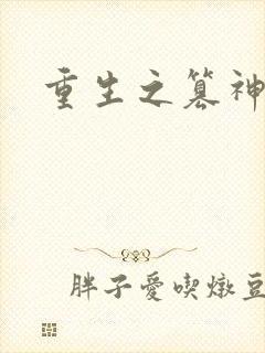 重生之篡神