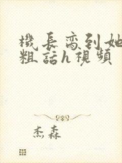 机长脔到她哭h粗话h视频