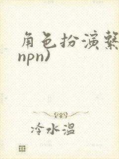 角色扮演系统(npn)
