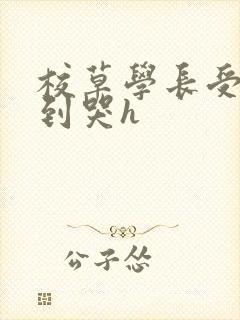 校草学长受被做到哭h