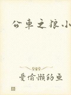 公车之狼小说