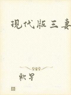 现代版三妻四妾