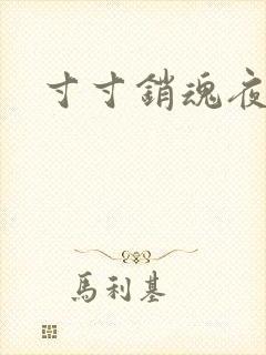 寸寸销魂夜春光